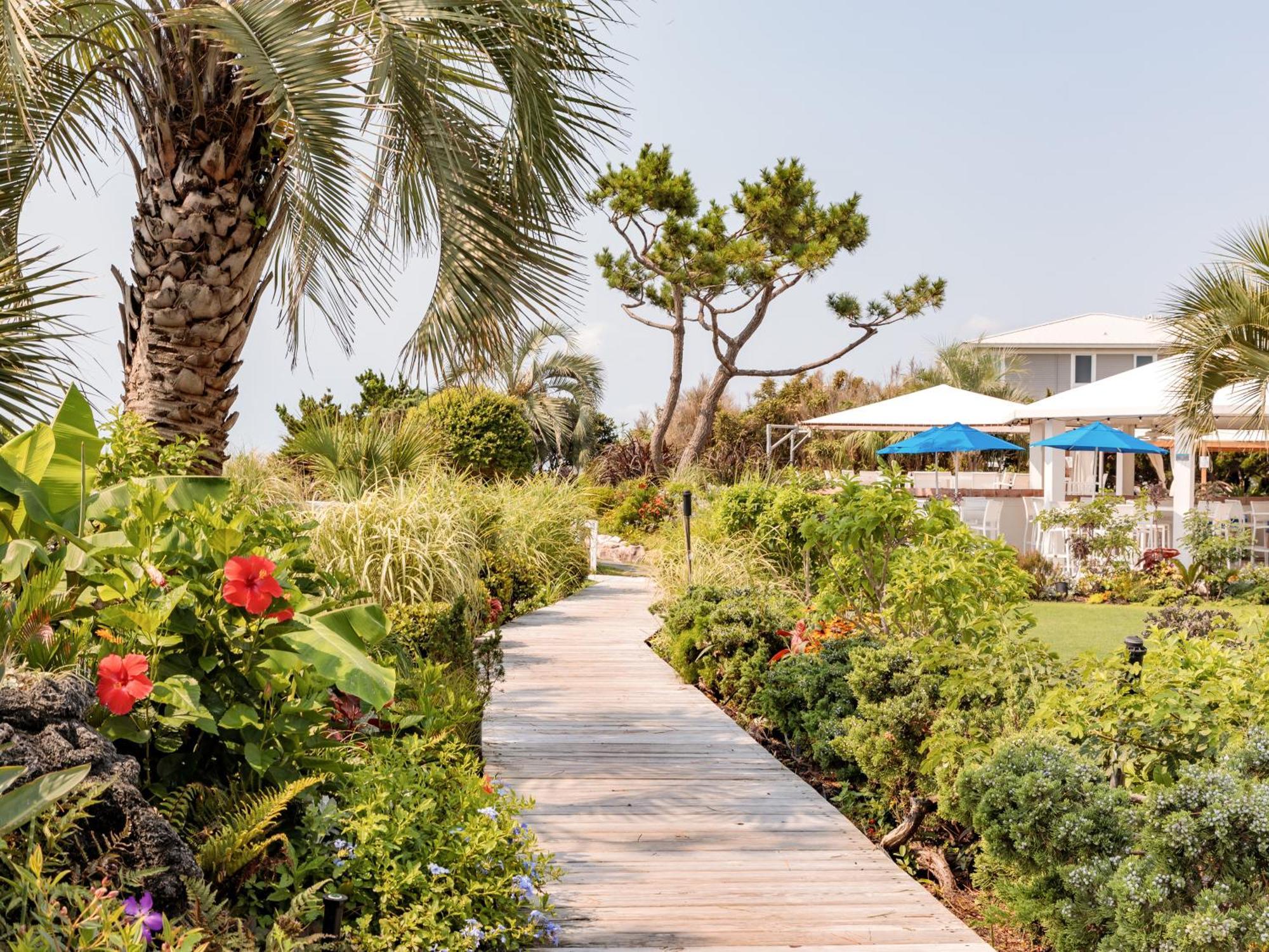 Trailborn Surf & Sound Hotel Wrightsville Beach Ngoại thất bức ảnh